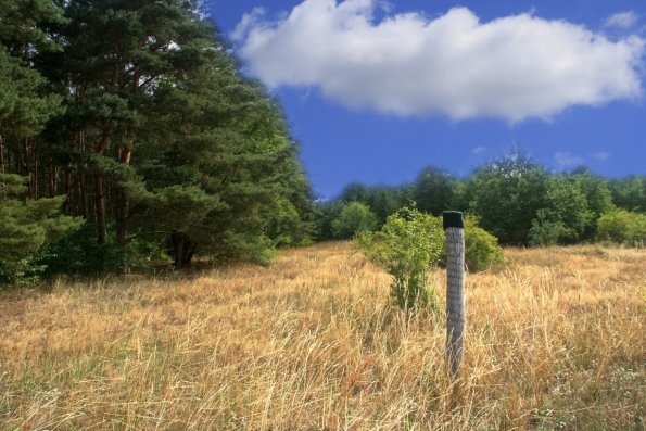 landschaft_188