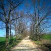 landschaft_175