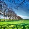 landschaft_176