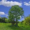 landschaft_186