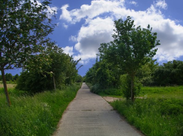 landschaft_184