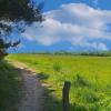 landschaft_180
