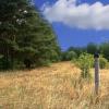 landschaft_188