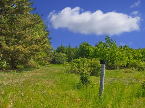 landschaft_185