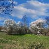 landschaft_177