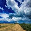 landschaft_199