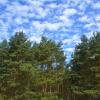 landschaft_191