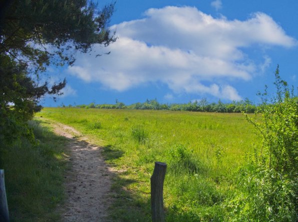 landschaft_180