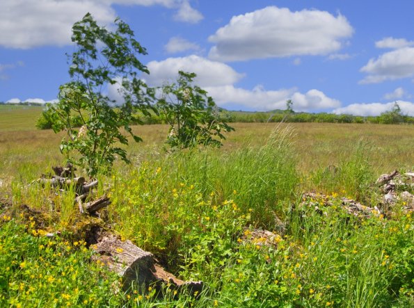 landschaft_182