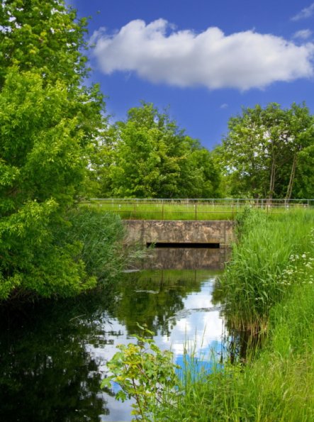 landschaft_187