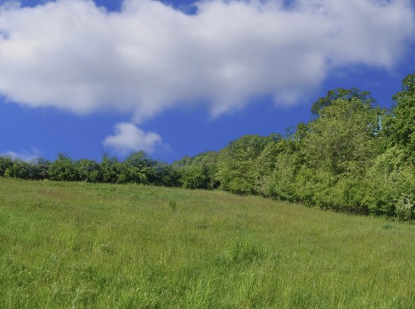 landschaft_181