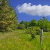 landschaft_185
