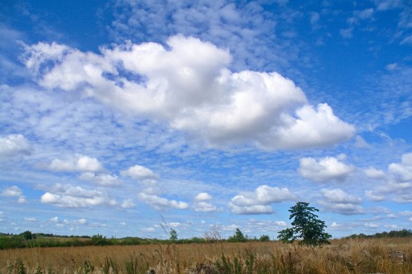 landschaft_189