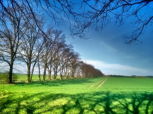 landschaft_176