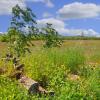 landschaft_182