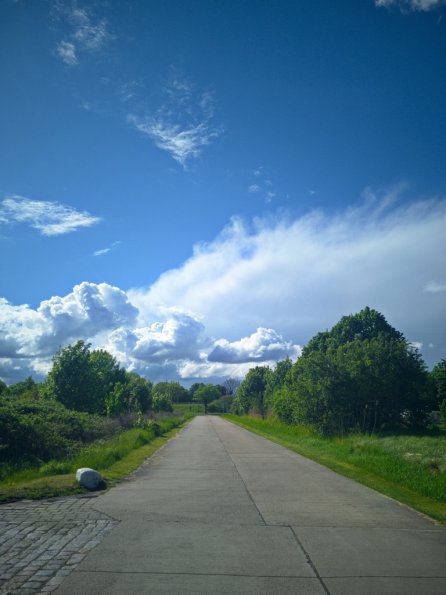 landschaft_178