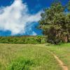 landschaft_183