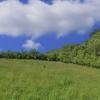 landschaft_181