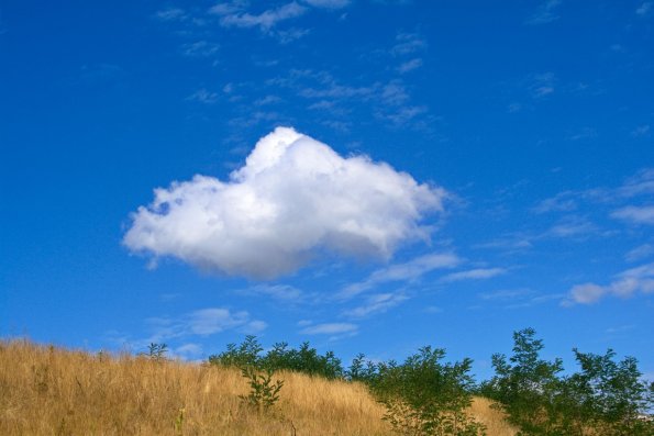 landschaft_193