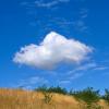 landschaft_193