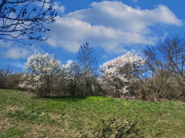 landschaft_177