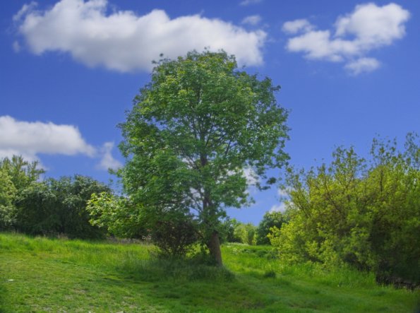 landschaft_186